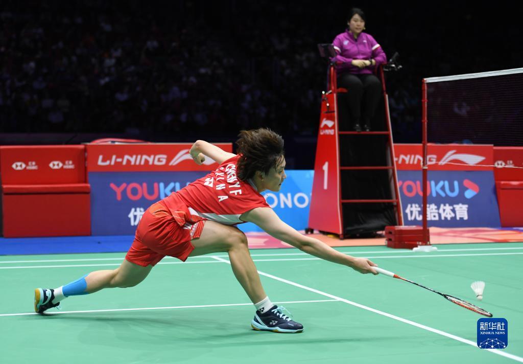 引了球迷的 引了球迷的